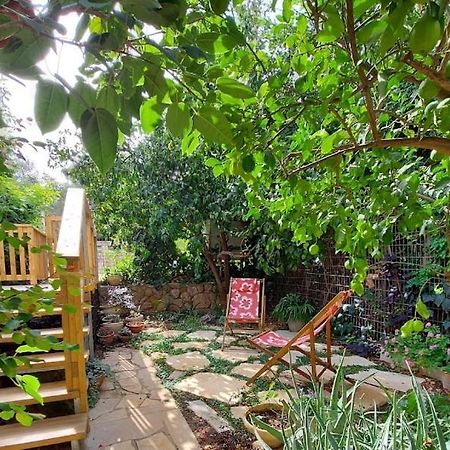 Maple'S Place - אירוח מייפל Rosh Pinna Bagian luar foto